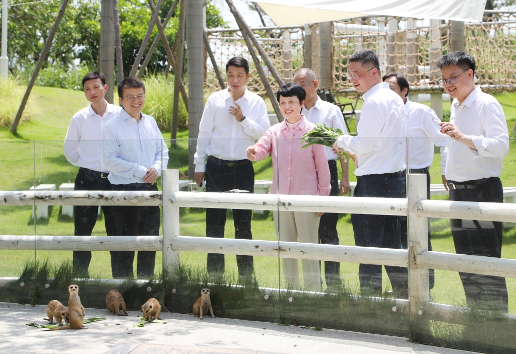 1754967774190294.jpg 2.jpg