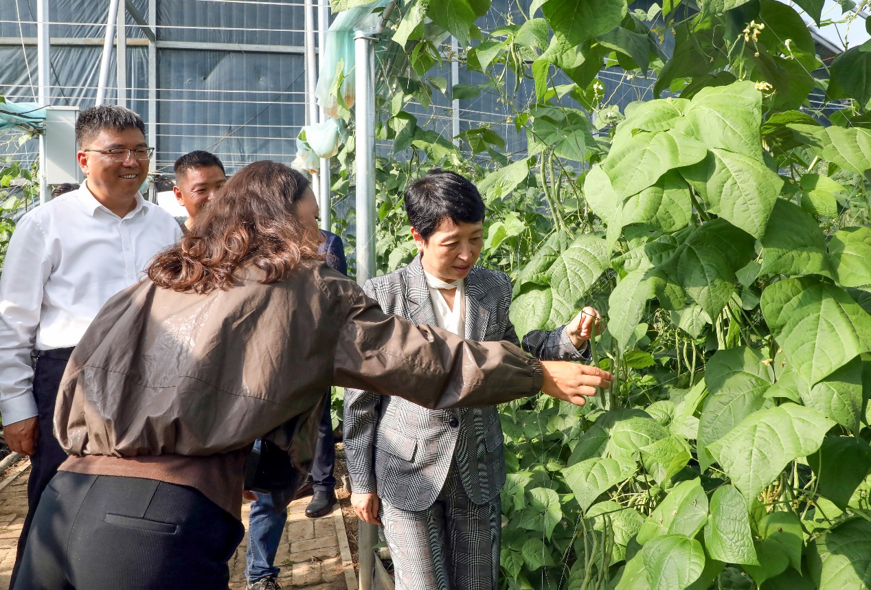 1758294804321709.jpeg 2.jpeg